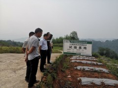 雅安市农业农村局党组书记倪林到联络村调研产业展开