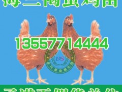 都匀野兔养殖基地