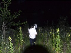 商洛：郊区渔政结合展开打击合法捕捞夜间巡查