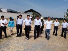 韩城：完成省级小麦实验示范收获义务