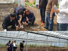 萍乡市展开早稻消费技术指点