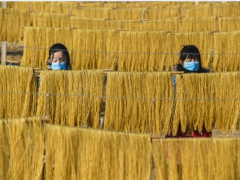 河北永清： 手工制粉助增收