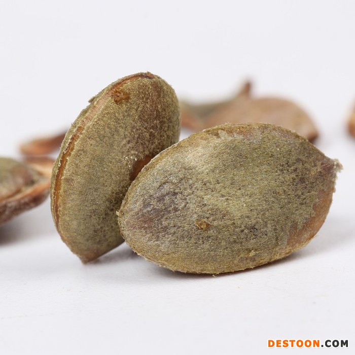 安庆特产 地标性食品 瓜蒌子 瓜篓籽 吊瓜子 200g 罐装 量大优惠