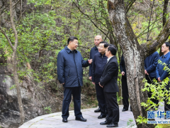 习近平在陕西调查时强调 扎实做好“六稳”义务落实“六保”义务奋力谱写陕西新时代追逐跨越新篇章