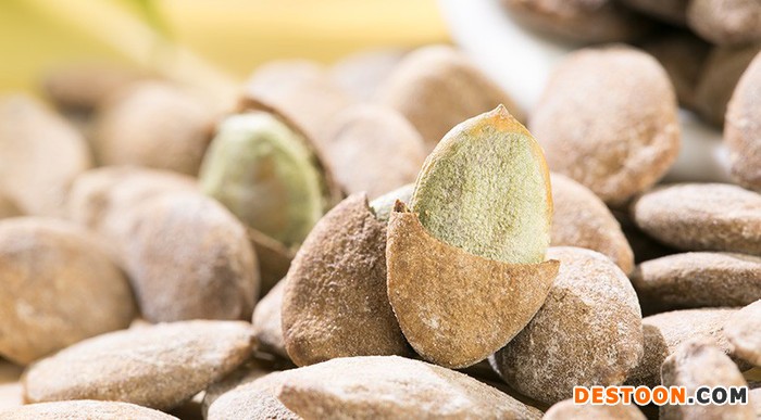 健康养生休闲食品瓜蒌子 吊瓜子 瓜篓籽厂家散装批发  500g