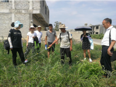 晋中市种子管理站农技人员用理论举动处置坝区理论成果