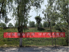 西安：30万尾鱼苗放归渭河 维护水生植物生态平衡