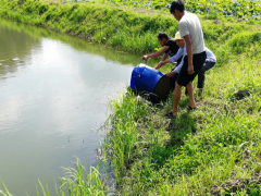 毕节晋中市生态渔业专班到纳雍县展开稻田养鱼技术效力