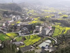 安康：汉阴展开农村团体经济 促进乡村片面复兴