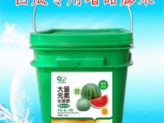 豆角专用肥 豆角抗病肥  旺润豆角肥料厂