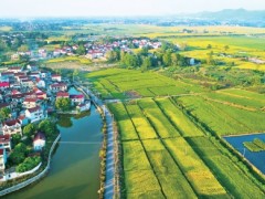 安徽怀宁农田建设获中央资金支持