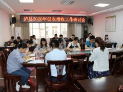 泸县农业农村局召开2020年上半年促农增收工作研讨会