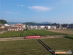 湖畔油茶苗(图)-红花油茶树苗批发网-尤溪县红花油茶树苗