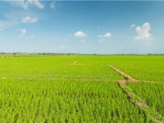 备足“四要素” 闽北贫穷户春耕消费不时链