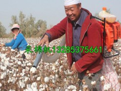 棉花采棉机价格_棉花采棉机批发_棉花采棉机厂家