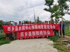 西乡：县农技中心举行猕猴桃夏季管理技术培训会