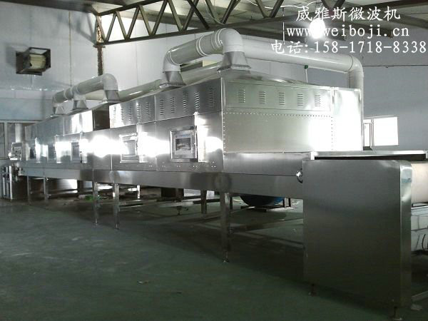 威雅斯VYS-40HM6供应广西槟榔微波烘烤设备