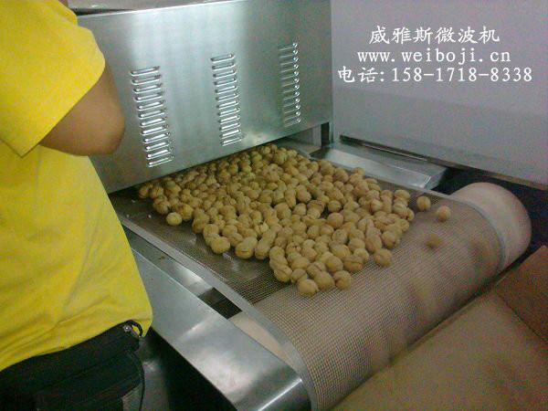 威雅斯VYS-45HM陕西椒盐核桃烘烤机