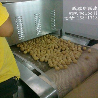 威雅斯VYS-45HM陕西椒盐核桃烘烤机