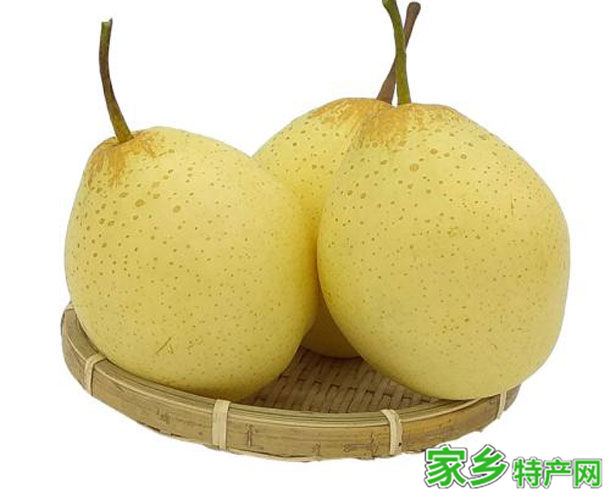 天津鸭梨 -天津市特产