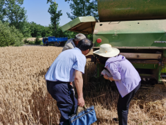 西安：三夏大忙赴一线 技术效力到田间