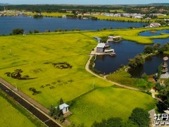 丰收季牡丹江市广袤田野奏响大地欢歌