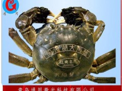 【海产品激】即墨海产品 水产品大闸蟹激光打字代加工