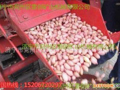 花生湘潭花生脱皮机去壳机种植专用花生去皮机