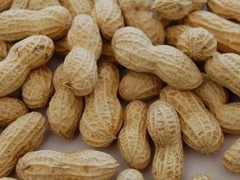 有机花生果厂家供应 河南花生果