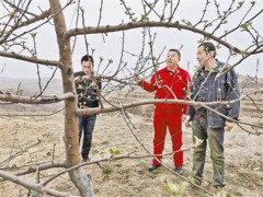 榆林：驻村扶贫干部干事记载