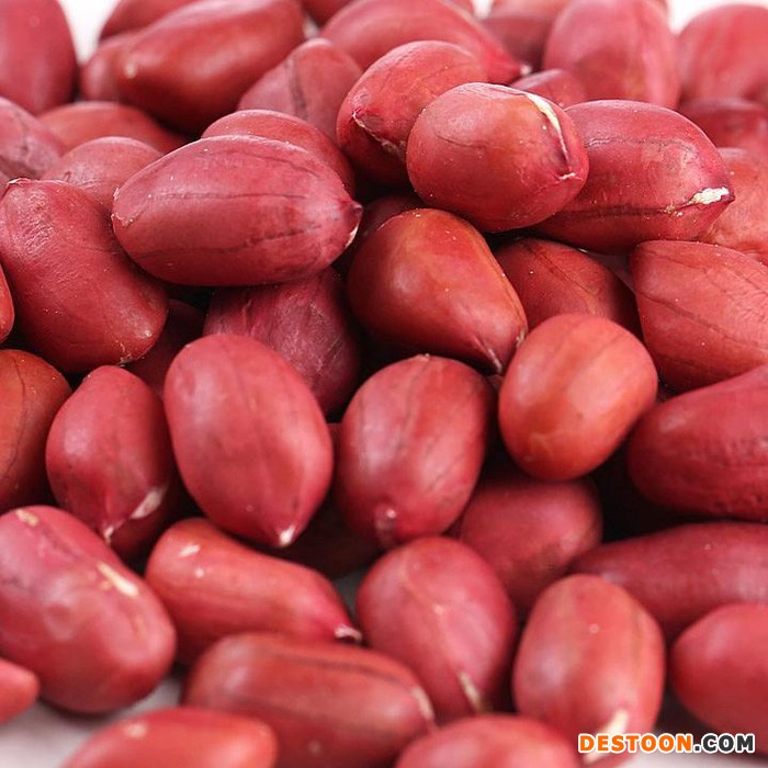 红皮花生 食品厂家 花生花生碎