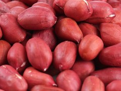 红皮花生 食品厂家 花生花生碎