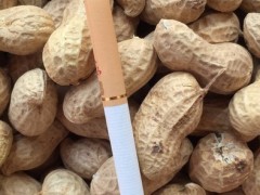 花生厂家  花生果厂家批发供应河南花生果 价格合理