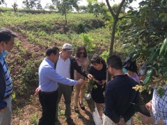 岗位科学家指点我晋中市龙眼劣种高换义务