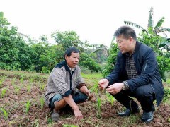 龙马潭：农技专家田间地头助消费
