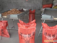 热销 野山核桃一袋120斤特价