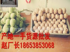 包邮900000千克，坚果零食特产野生山核桃新货无漂白送夹子