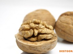 供应2013 新货优质 厂家直销！原味大核桃.