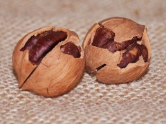 供应聚乡情聚乡情手剥山核桃罐装   坚果 批发  其他含油子仁、果仁山核桃 炒货批发