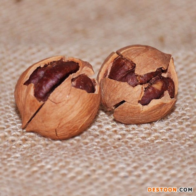 供应聚乡情聚乡情手剥山核桃罐装   坚果 批发  其他含油子仁、果仁山核桃 炒货批发