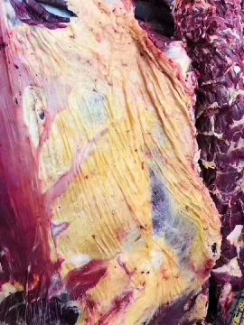 [供]纯天然青海牦牛肉，肉质鲜嫩，品质保证，价格公道