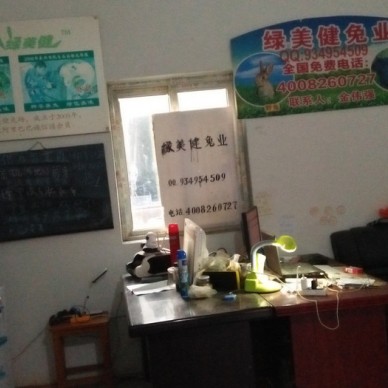 昆明禄劝彝族苗族自治比利时野兔兔肉批发销售