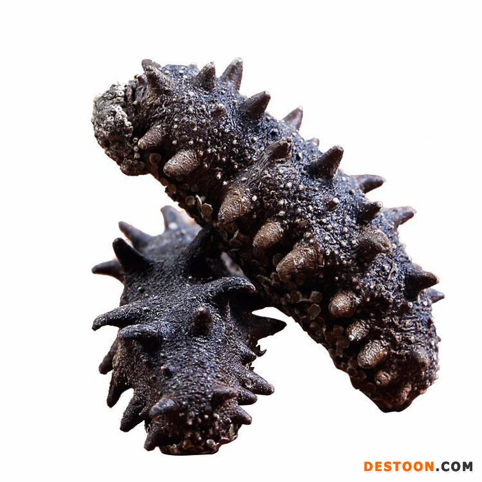 南北通   40头俄罗斯 淡干海参 刺参 黑刺参 500克礼品装 海参