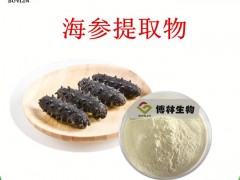 博林生物 海参提取物 海参粉 海参蛋白粉 现货供应 源头厂家