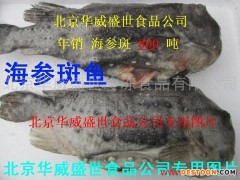 供应华威盛世1＊10kg海参斑 冰岛海参斑