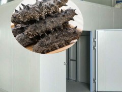 海参烘干机环保节能型海参烘干加工设备空气能热泵烘干箱房海产品烘干