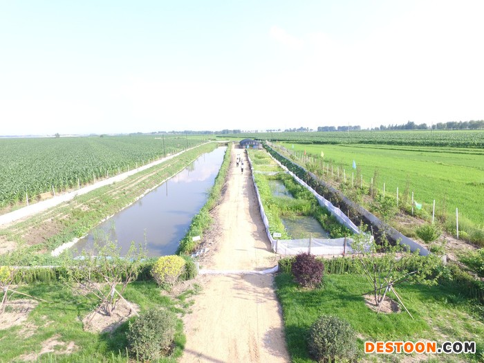 蟾蜍养殖技术教学，先进设施设备提供实地操作，河南学员推荐