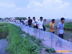 蟾蜍养殖技术大全，蟾蜍养殖新技术理论与实践课结合