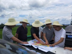 市农业农村局启动2020年高规范农田建立项目初步设计评审