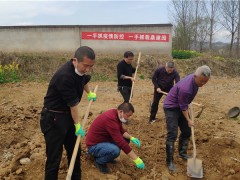 安康：愿得桑绿满金州——晋中市蚕桑中心展开义务植树活动